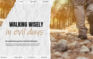 Walking wisely in evil days