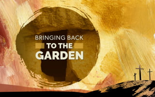 Out of the Garden into the garden